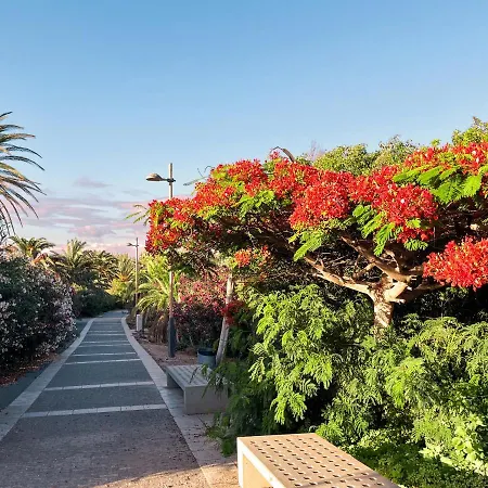 Διαμέρισμα Modernes, Liebevolles - *